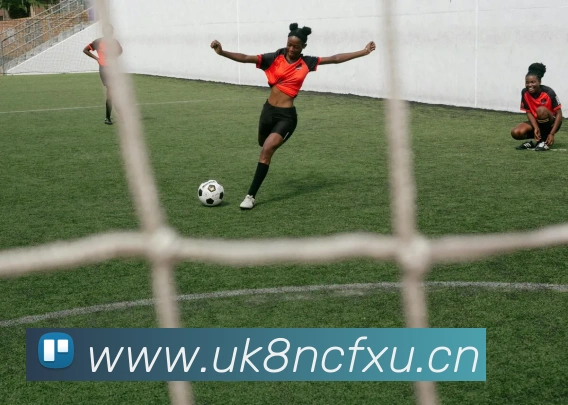 九游网页版官网APP 封面图